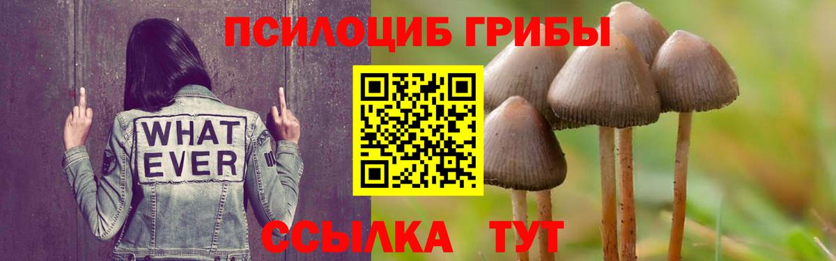 Галлюциногенные грибы Magic Shrooms  Вход с VPN  Камень-на-Оби  Галлюциногенные грибы прущие грибы 